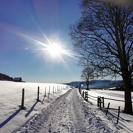 Appartement Brandstaettergut *