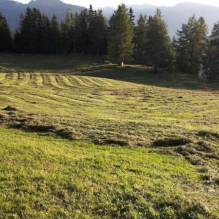 Brandstaettergut * Mariapfarr