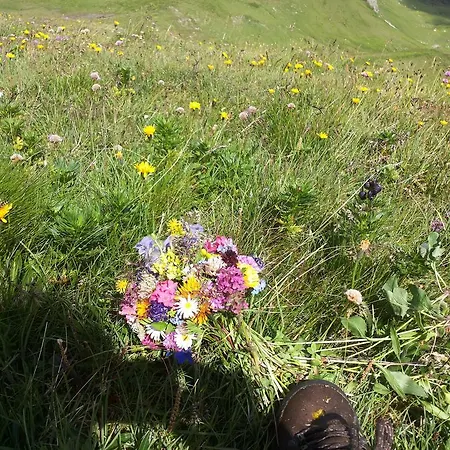 Brandstaettergut Mariapfarr