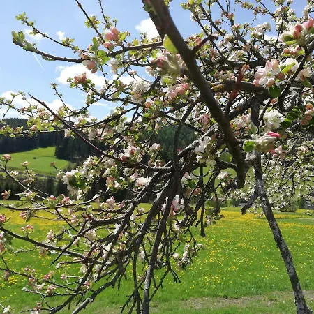 Brandstaettergut * Mariapfarr