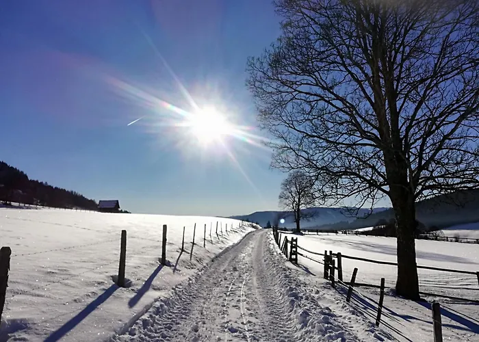 Appartamento Brandstaettergut *