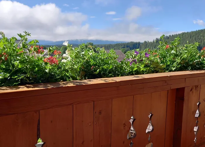 Brandstaettergut * Mariapfarr