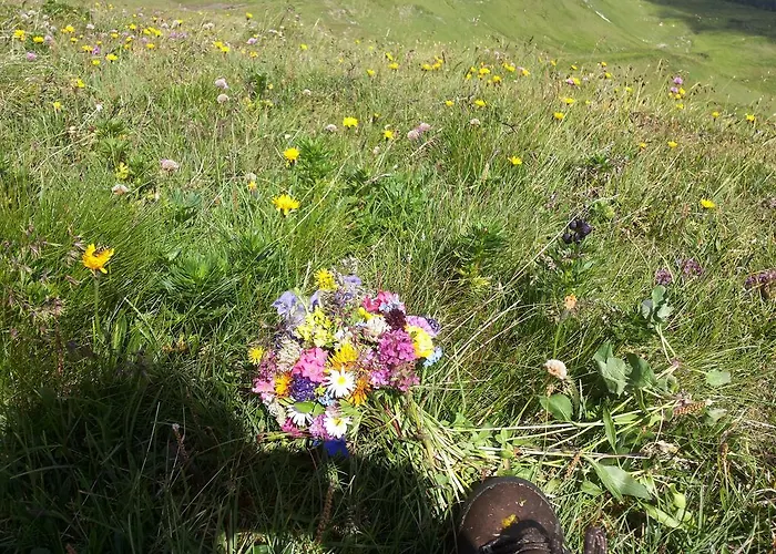 Brandstaettergut Mariapfarr